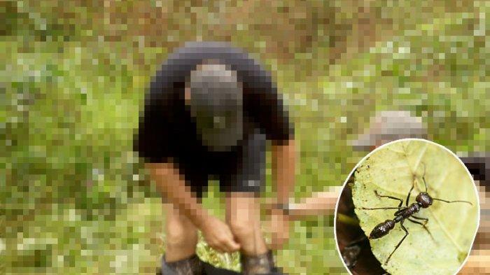 Niat Lakukan Pencabulan Terhadap Seorang Gadis Gagal Lantaran Digigit Semut
