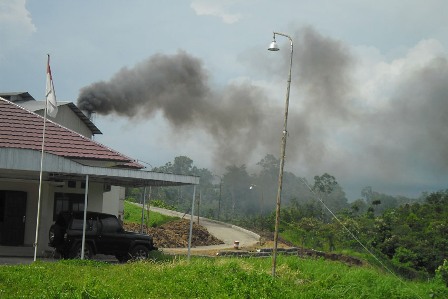 PT PMS Sebabkan Polusi Udara, Walhi Bengkulu Siap Dampingi Warga Talang Empat