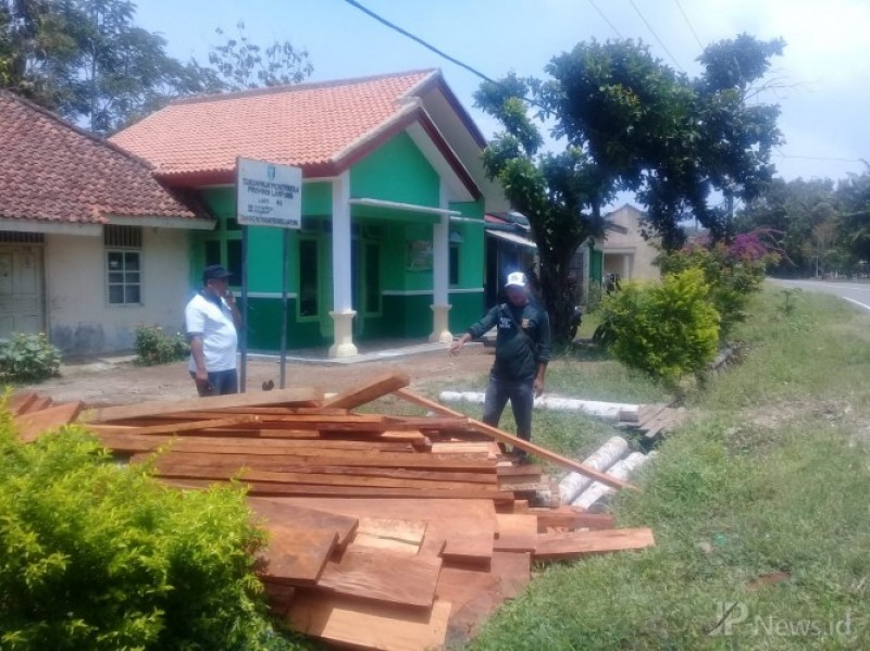 Penyebab 7M3 Kayu Mahoni-Cempaka Diamankan Petugas di Pesisir Barat