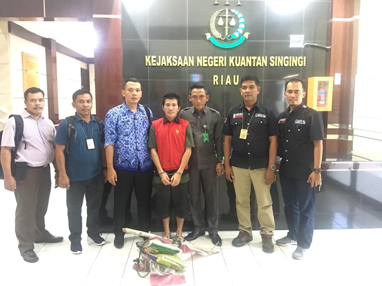 Pembunuhan Harimau Sumatera Dijerat Pasal Hukuman 5 Tahun Penjara