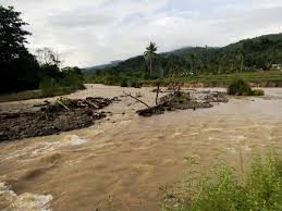 Sebanyak 50 KK di Bandar Negeri Suoh Lambar Terancam Kehilangan Mata Pencaharian