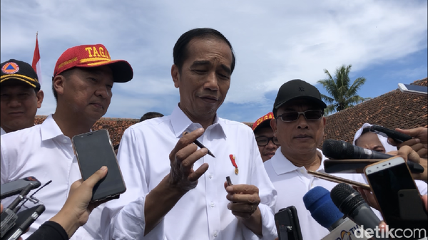 Jokowi Sarankan Petani Sawit Ganti Tanam Durian