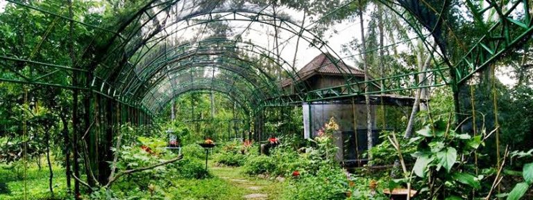 Taman Kupu-Kupu Gita Persada Suguhkan Relaksasi & Edukasi