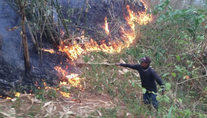 Lahan Hutan Pinus di Gowa Sulawesi Selatan Terbakar