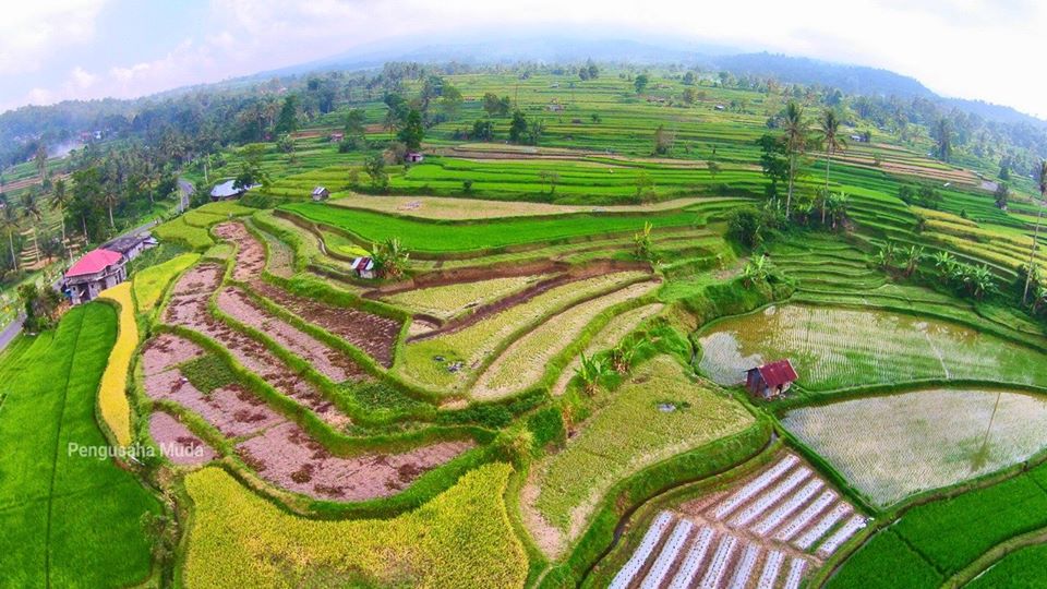 Pesona Alam dan Kuliner Minang Getarkan Rombongan Famtrip HPN 2018