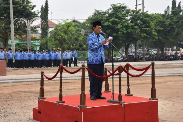 ASN Harus Laksanakan Tugas Pemerintahan Dengan Baik Dan Akuntabel