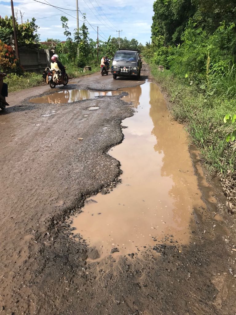 Warga Minta Nunik Perhatikan Insfrastruktur Jalan Di Lampung Timur