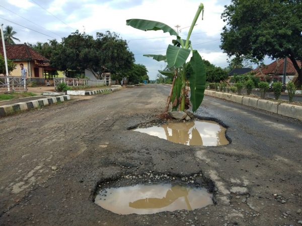 Warga Lampung Timur Tanam Pohon Pisang Di Jalan Rusak