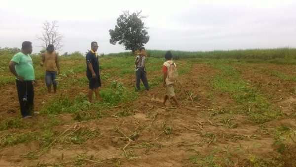 Pengurus Koperasi Pelita Harapan Rusak Lahan Kebun Warga Desa Dorowati
