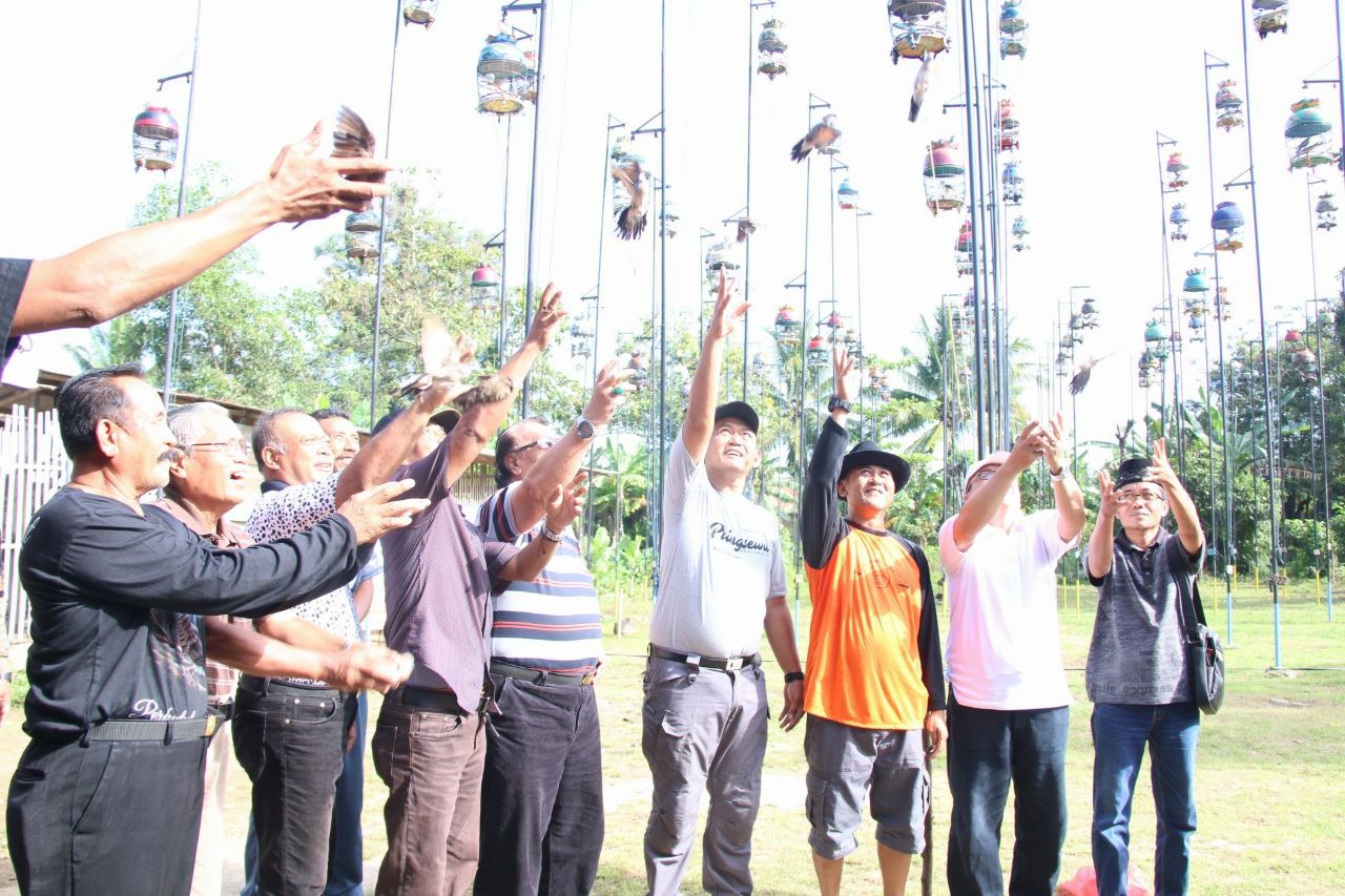 Wabup Pringsewu Buka Lomba Kicau Burung Mania