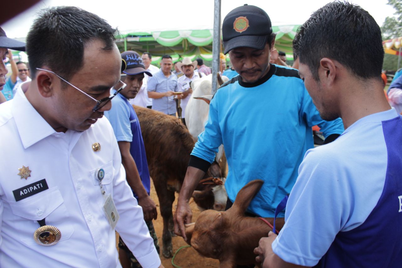 Kabupaten Way Kanan, Potensi Lumbung Ternak di Provinsi Lampung