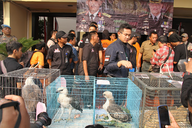 Polres Jakbar Amankan 5 Pelaku Sindikat Penjualan Satwa Liar Lewat Medsos