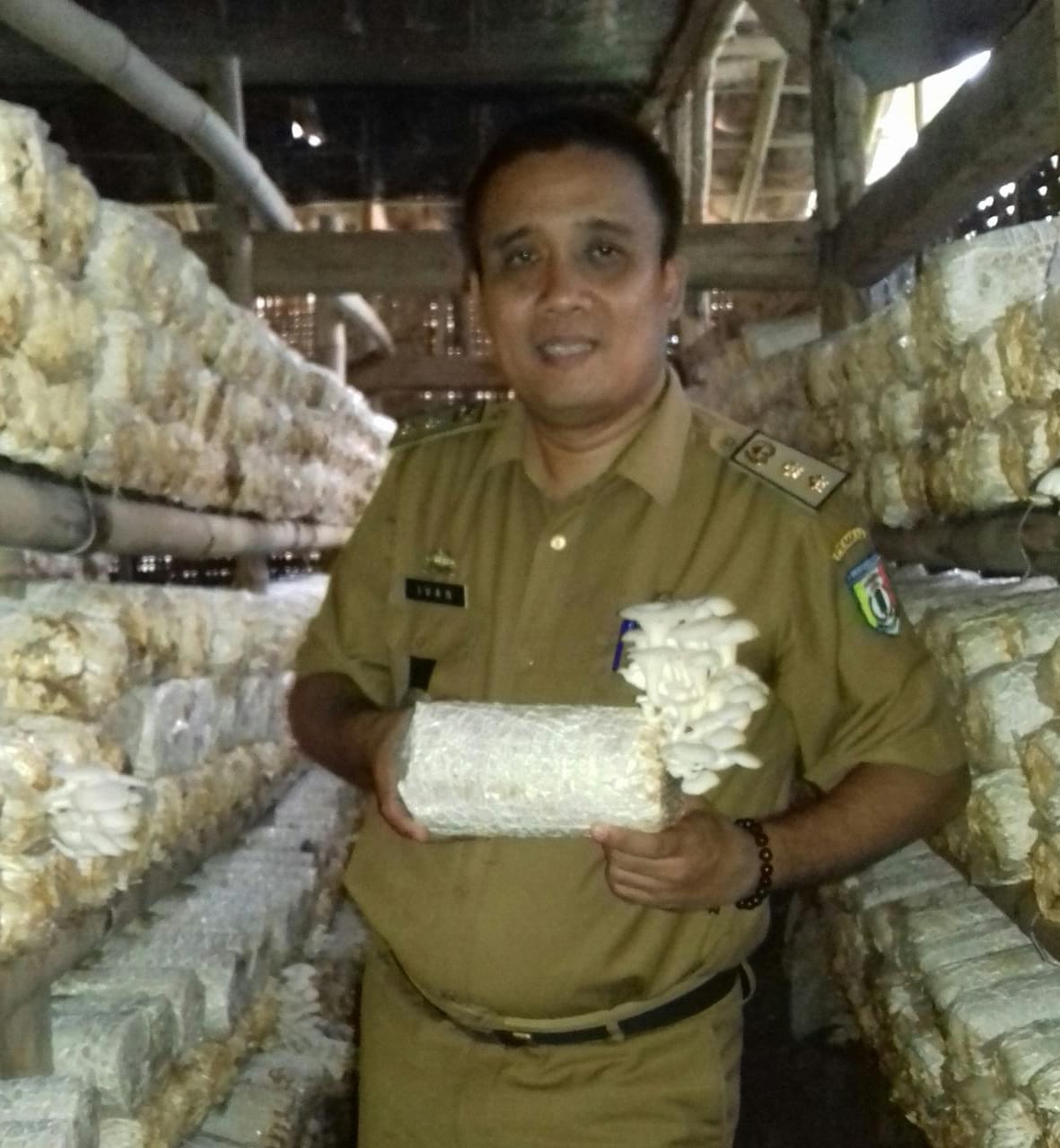 Kepala Sekolah Yang Manfaatkan Waktu Luang Untuk Produksi Kripik Jamur