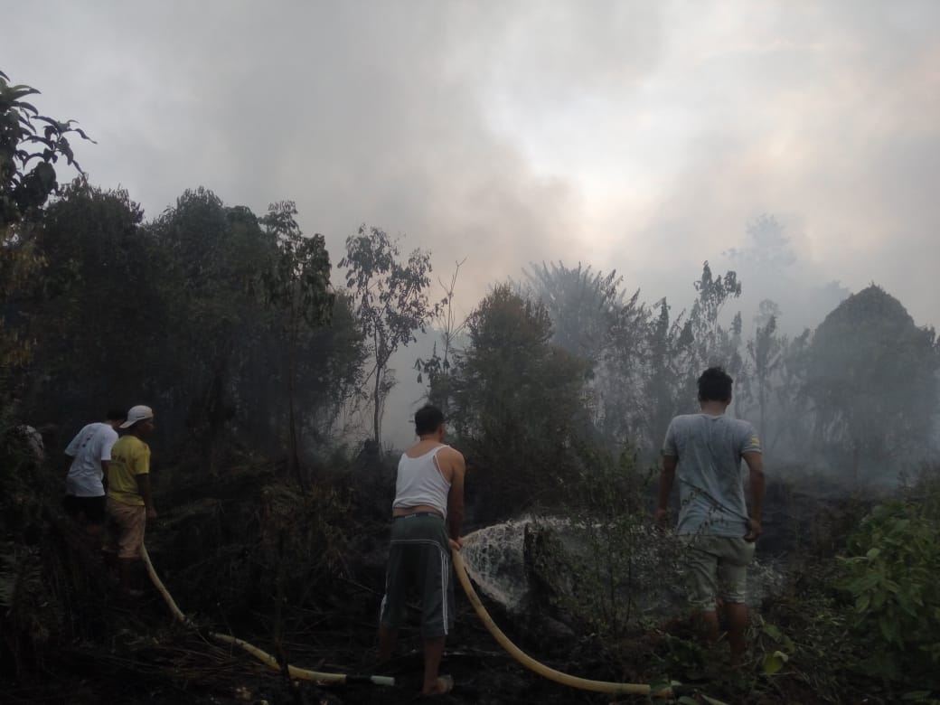 Lahan Ngambut Terbakar di Areal PT Arini Kubu Raya