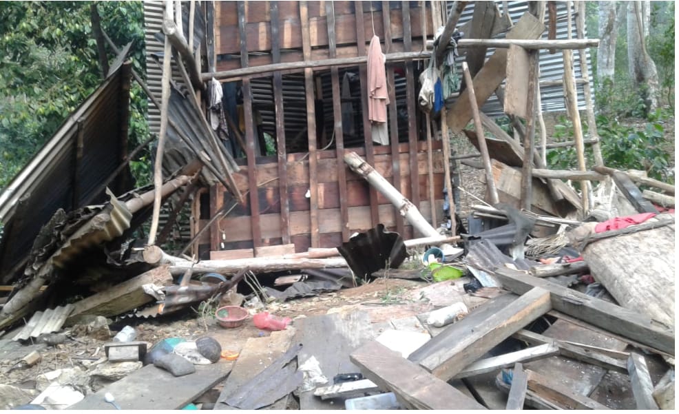 Nasrudin dan Istrinya Tewas Diamuk Gajah di Tanjakan Mayit HPT Tanggamus