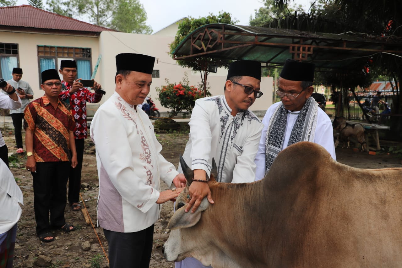Wakil Bupati Lambar, Sholat Idul Adha di Masjid Baiturrahim Dan Open House di Rumah Dinas
