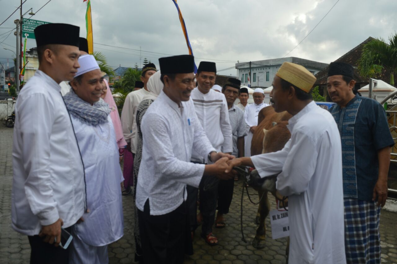 Pemkab Tanggamus Qurban Empat Ekor Sapi dan Empat Kambing