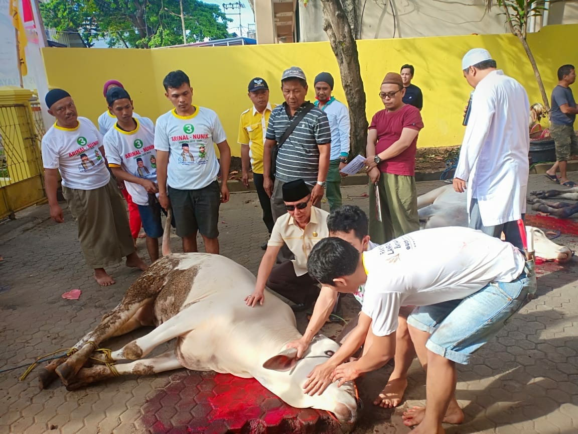 Golkar Bandarlampung Potong 4 Ekor Sapi 11 Kambing