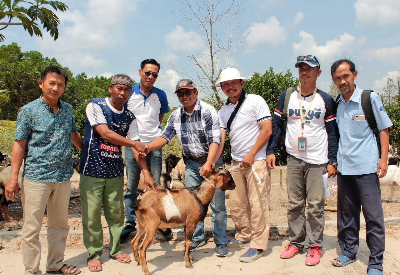 Idul Adha, PT CPB Bagikan 38 Hewan Qurban Kepada Warga Kampung Penyanggah