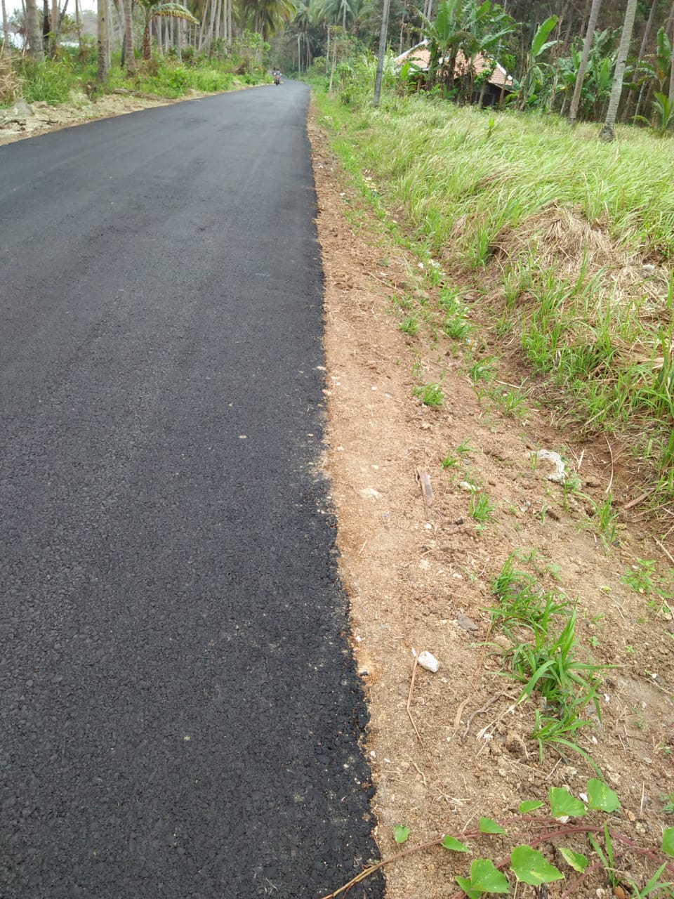 Lantak Akan Surati Kapolda Lampung Terkait Proyek SP Umbar-Putihdoh Tanggamus