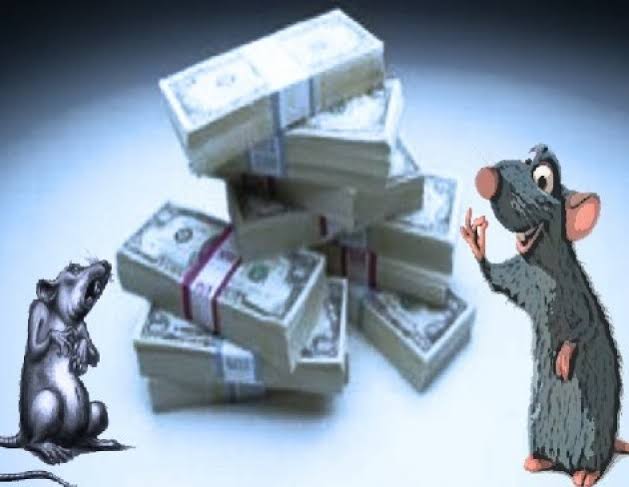 KPK Tangani Kasus Dugaan Kebocoran Anggaran Rp2,9 Miliar di Pemkab Pringsewu Para Pejabat “Bungkam”