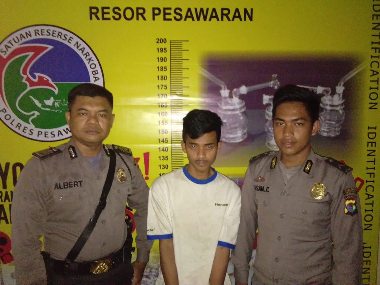 Sat Narkoba Polres Pesawaran Kembali Amankan Pengedar Narkoba