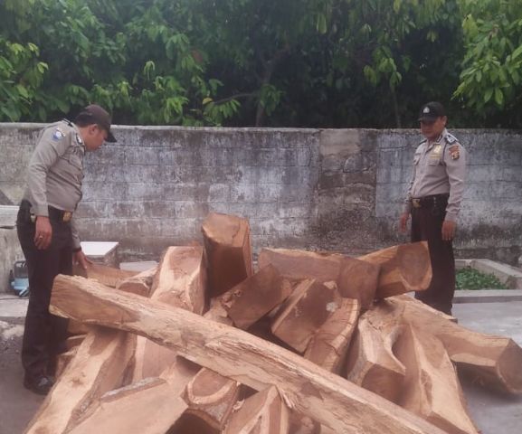 Polsek Pagelaran Amankan Tiga Puluhan Balok Kayu Sonokeling Tak Bertuan Diperbatasan Hutan Lindung