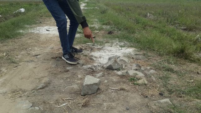 Diduga Pembangunan Jalan Produksi Dinas Pertanian Tubaba Terkesan Asal Jadi