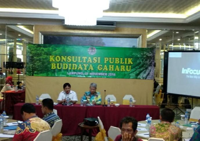 Pemprov Lampung Fasilitasi Perkembangan Budidaya Gaharu