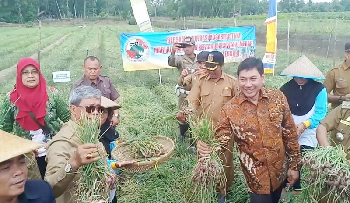 Kotagajah dan Seputih Raman Akan Jadi Sentra Komoditi Bawang Merah Lampung Tengah