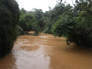 Banjir Bandang Seret Puluhan Rumah di Pekon Umbar Kelumbayan Akses Komunikasi Terputus