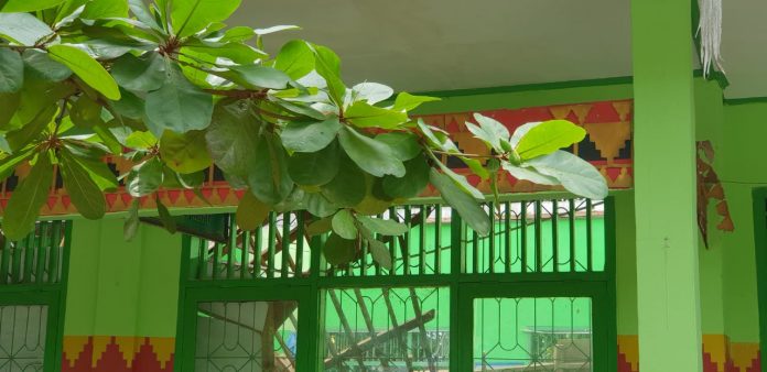 Atap Dua Ruang Kelas SDN 6 Metro Barat Rubuh