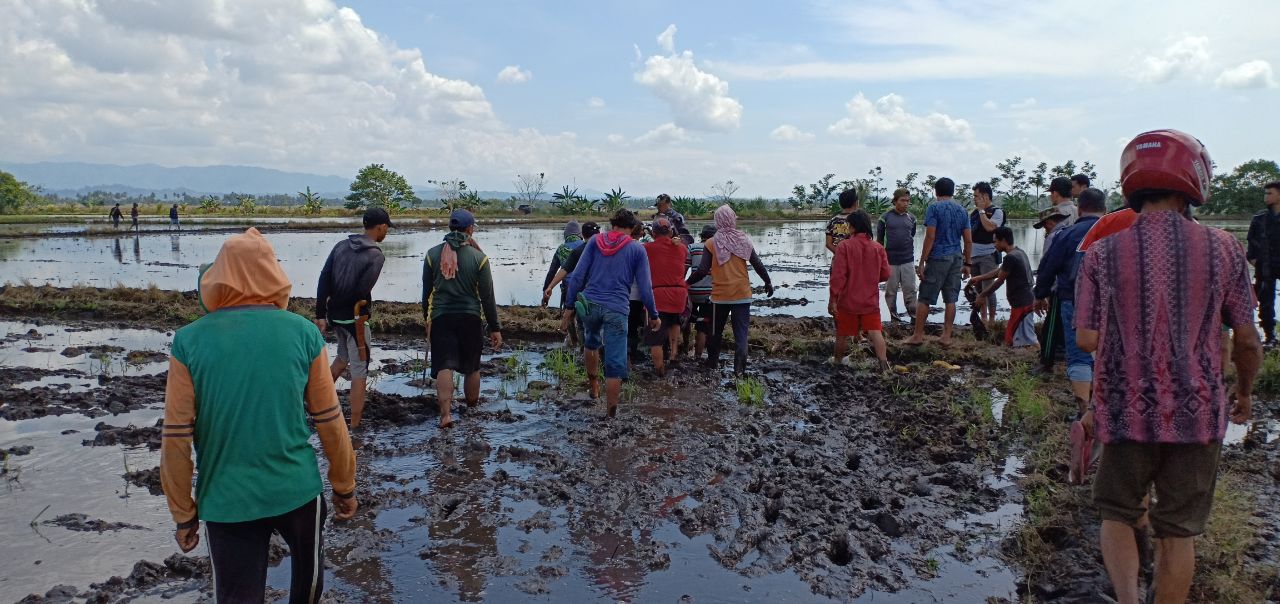 Dua Lelaki Tewas Akibat Adu Parang Berebut Sawah