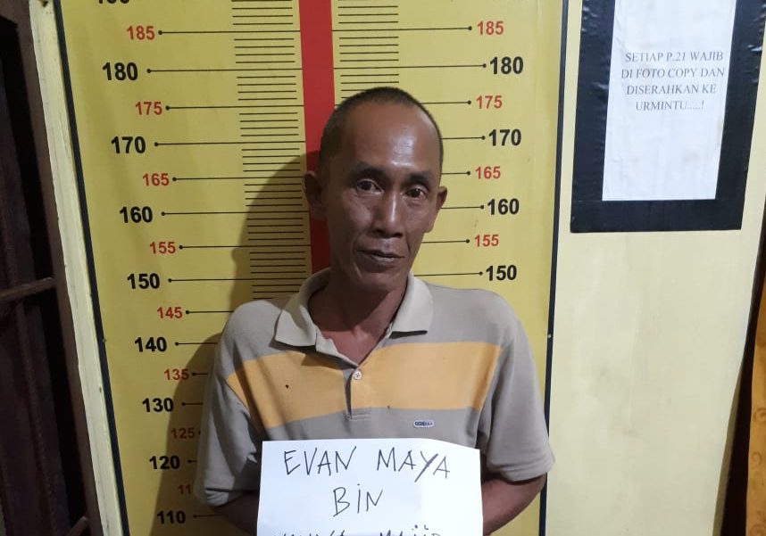 Kep Pejaga Ladang Ganja di Bukit Kota Agung Timur Ditangkap