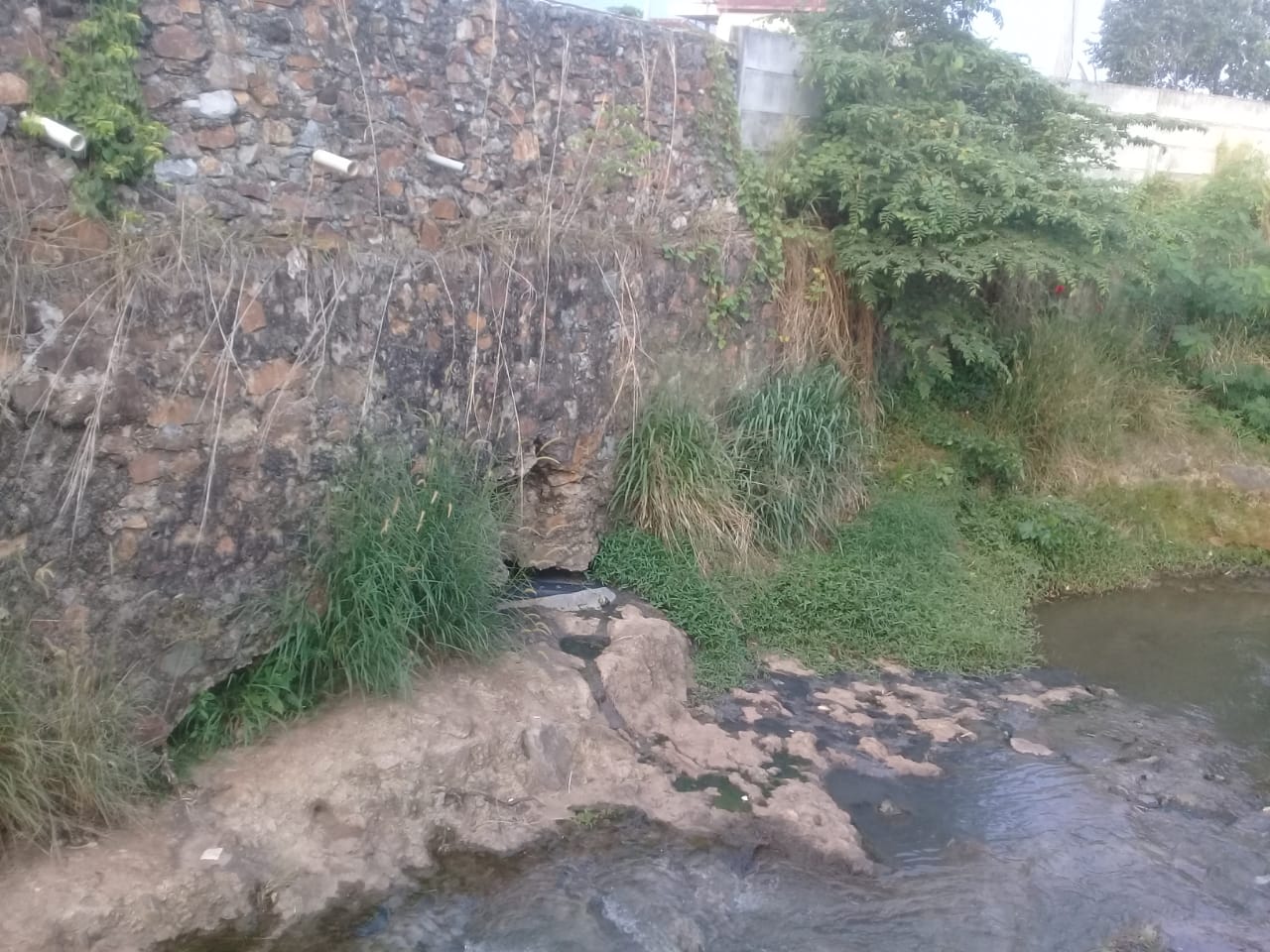 Limbah MBK Cemari Aliran Sungai Kalibalau Kedaton, Bangunan Langgar GSS Tanpa Ijin Warga