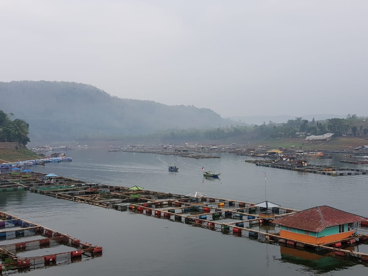 Teknologi Budidaya KJA Perairan Umum Jadi Solusi Tingkatkan Produktifitas Pangan