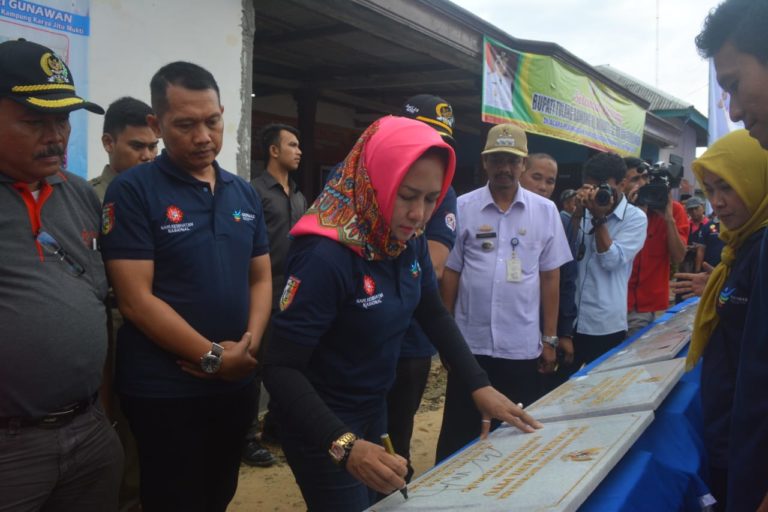 Winarti Pantau Sarana Parasarana Kesehatan di Rawajitu