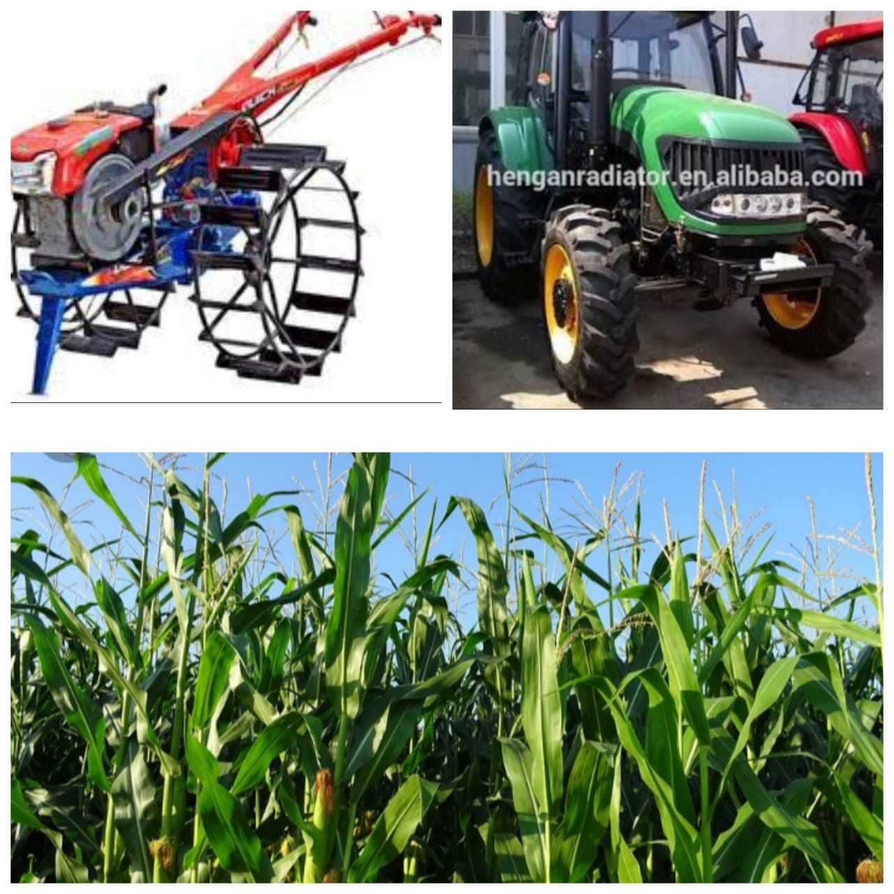 Bantuan Bibit Jagung dan Alat Pertanian di Kelola PBNU Diduga Sarat Masalah?