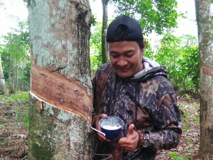 Pupuk Langka Saat Musim Tanam, Disinyalir ada Indikasi Kongkalikong