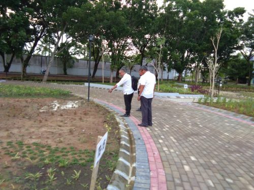 Anggaran Miliaran, Bunga di Taman Belakang Rumdis Banyak Yang Layu dan Mati