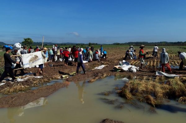 Warga Ambarawa Gotongroyong Perbaiki Tanggul