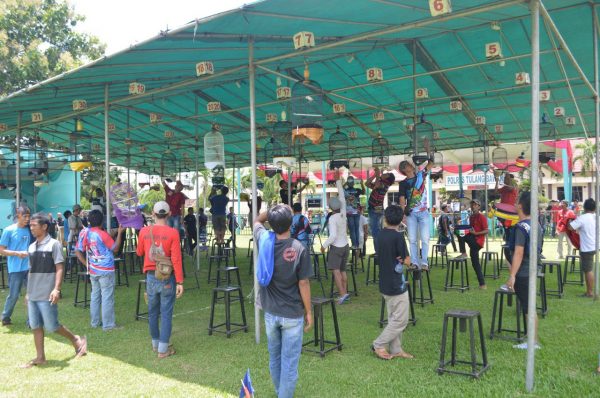 Jalin Kamtibmas Jelang Pemilu 2019, Polres Tulang Bawang Gelar Lomba KIcau Burung