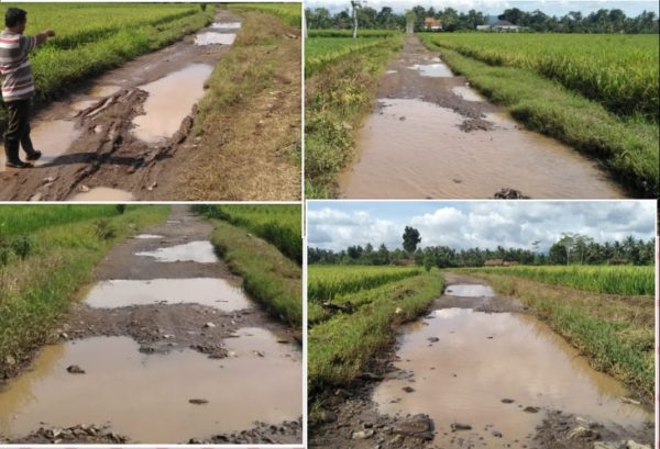 Jalan Akses Menuju Tiga Kecamatan di Tanggamus Bak Kubangan Kerbau