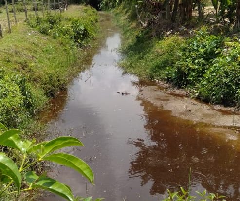Kegiatan Program PKT Desa Ganting Diduga Menyimpang?