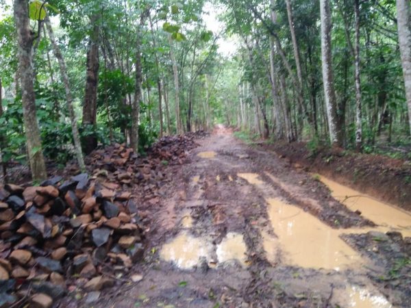 Pembangunan Dana Desa 2018 Kampung Gistang Blambangan Umpu Diduga Sarat Masalah?