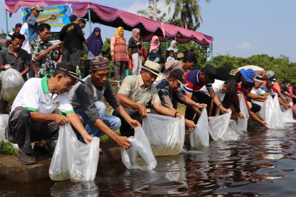 Danau Ulak Lia Sekayu Ditebar Ratusan Ribu Bibit Ikan Jelawat dan Nilem