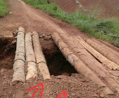 Jalan Poros Kabupaten Nyaris Putus, Janji Dinas PUPR Lampura Akan Perbaiki Hoax!