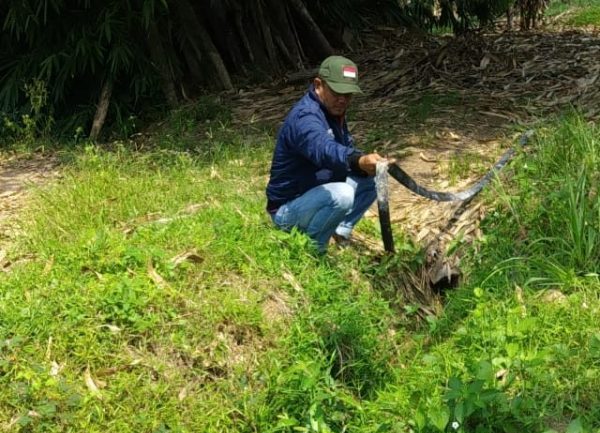 Lapak Karet Tak Berizin dan Limbahnya Cemari Sungai dan Pemukiman Warga di Tumijajar