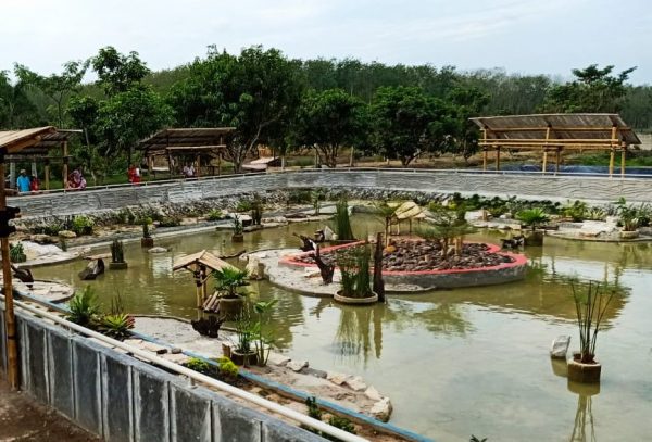 Tubaba Bangun TamanAgro Wisata Kura Kura