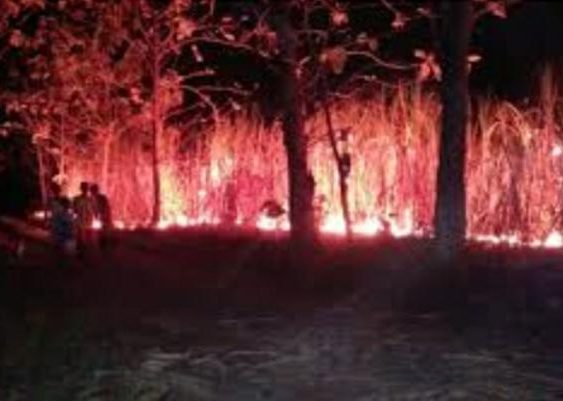 Masyarakat Empat Kecamatan di Tulang Bawang Keluhkan Polusi Pembakaran Kebon Tebu